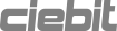 Ciebit